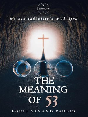 cover image of The Meaning of 53